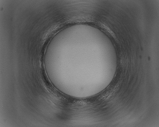 X0000070220635200605261038