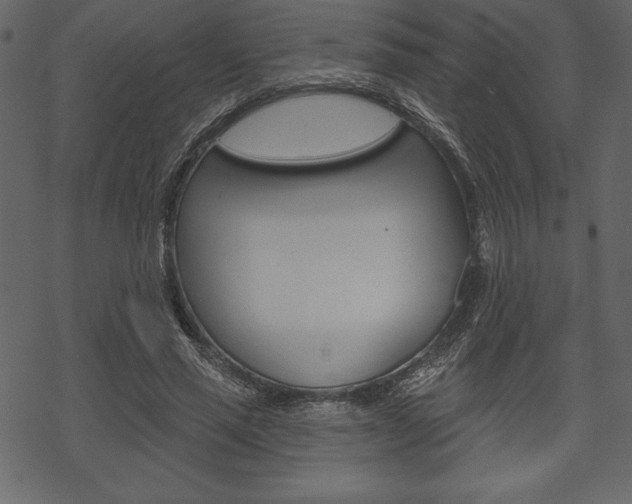 X0000070220637200605261038