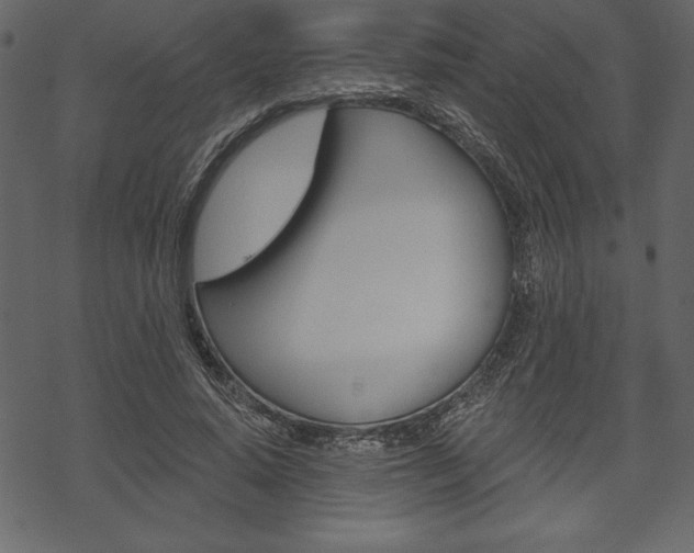 X0000070220640200605261038