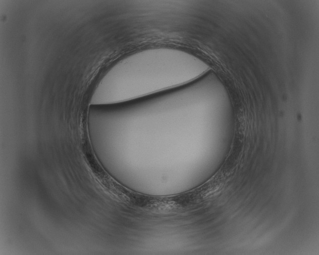 X0000070220642200605261038