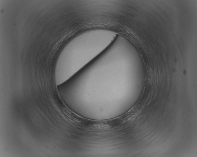 X0000070220644200605261038