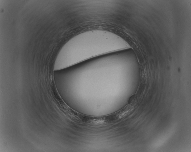 X0000070220651200605261038