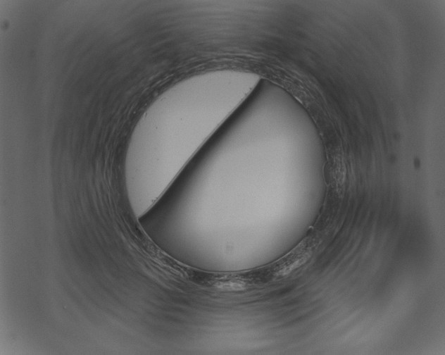 X0000070220653200605261038