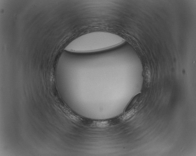 X0000070220665200605261038