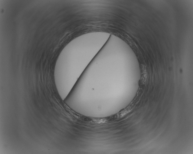 X0000070220667200605261038