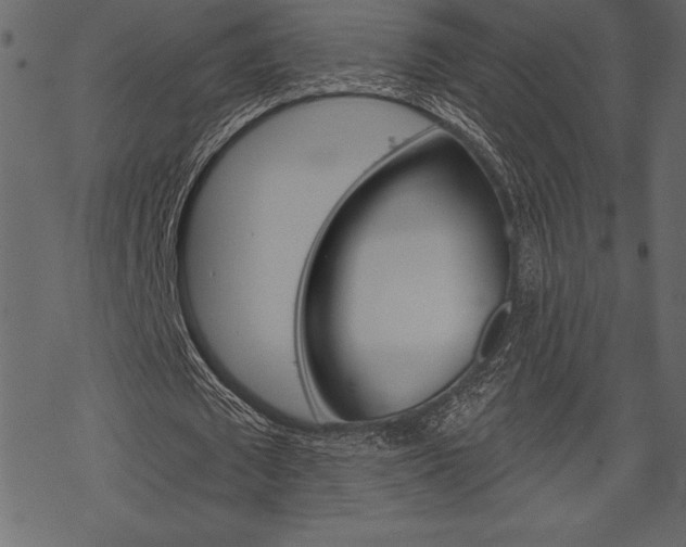 X0000070220673200605261037