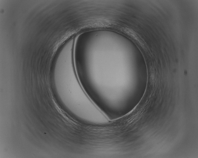 X0000070220677200605261037
