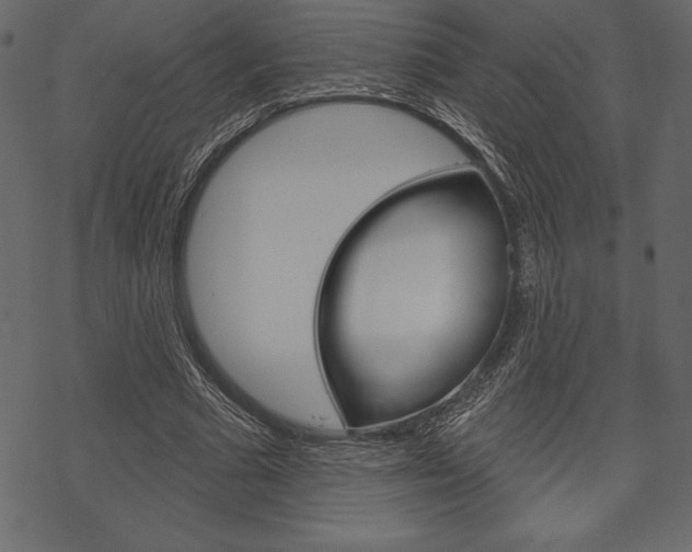 X0000070220681200605261037