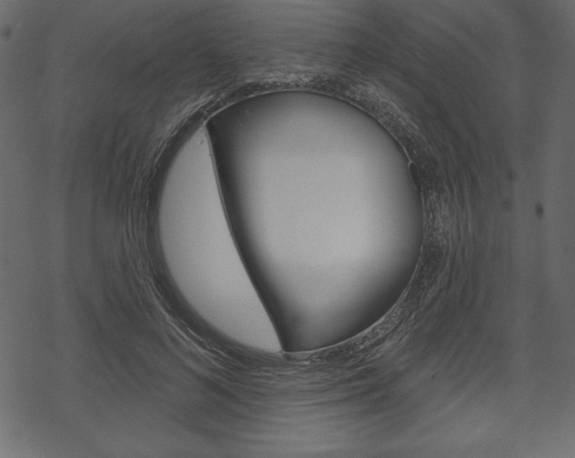 X0000070220692200605261037