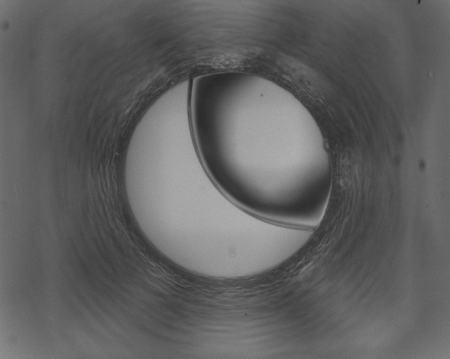 X0000070220697200605261037