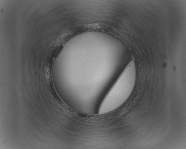 X0000070220708200605261037
