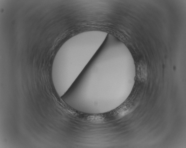 X0000070220714200605261037