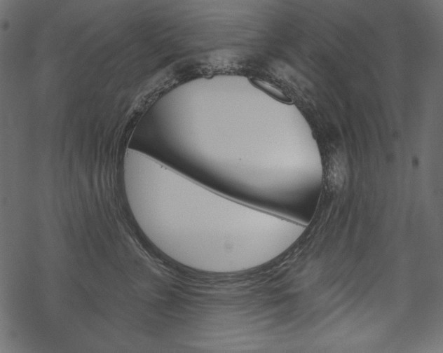 X0000070220715200605261037