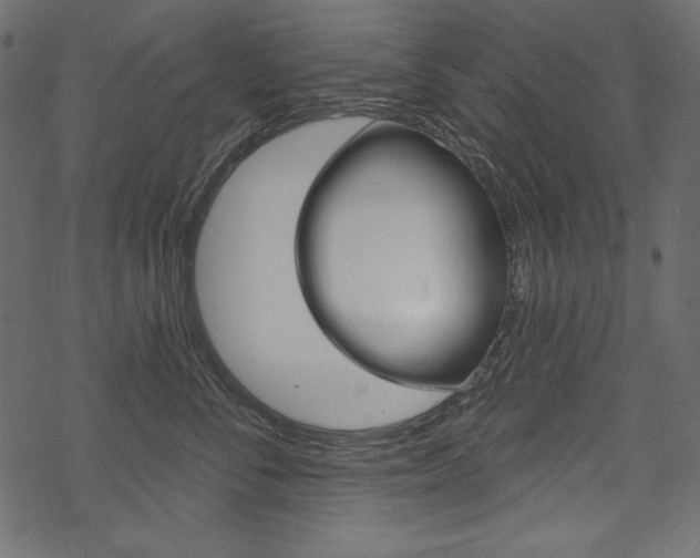X0000070220716200605261037