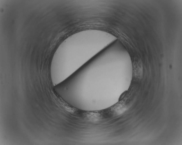 X0000070220718200605261037