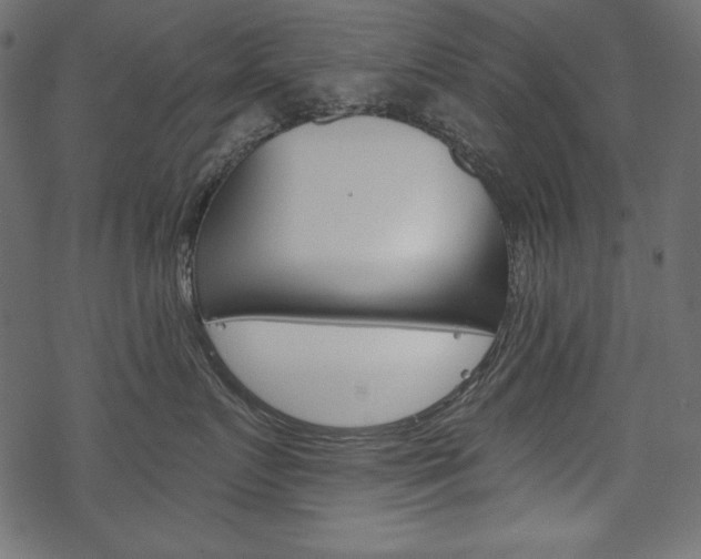 X0000070220719200605261037