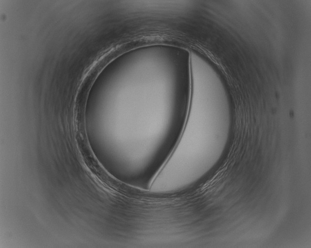 X0000070220722200605261036