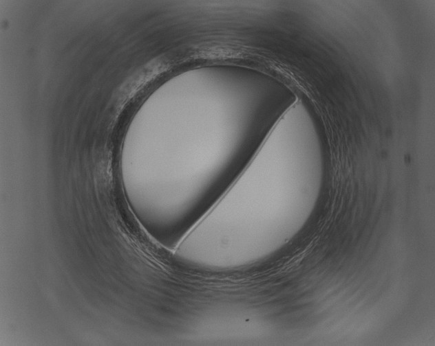 X0000070220727200605261036