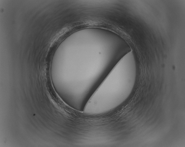 X0000070220730200605261036