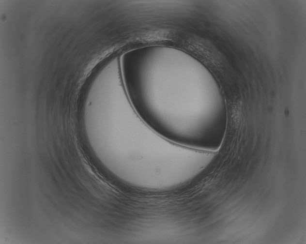 X0000070220732200605261036