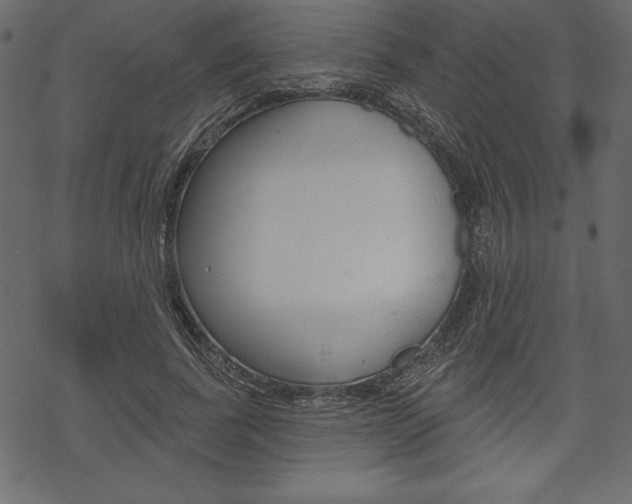 X0000070220739200605261036