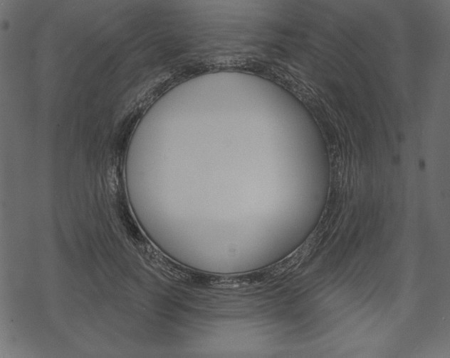 X0000070220746200605261036