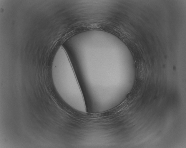 X0000070220747200605261036