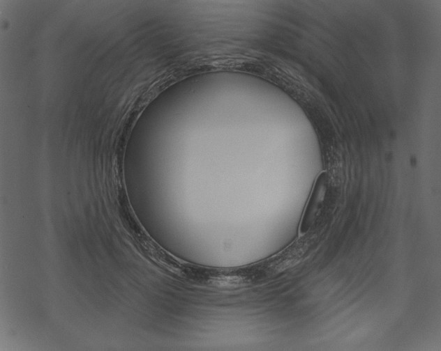 X0000070220748200605261036