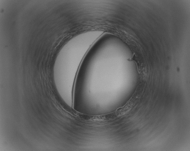 X0000070220756200605261036