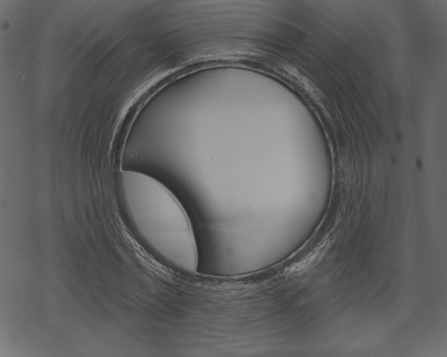 X0000070220779200605261036