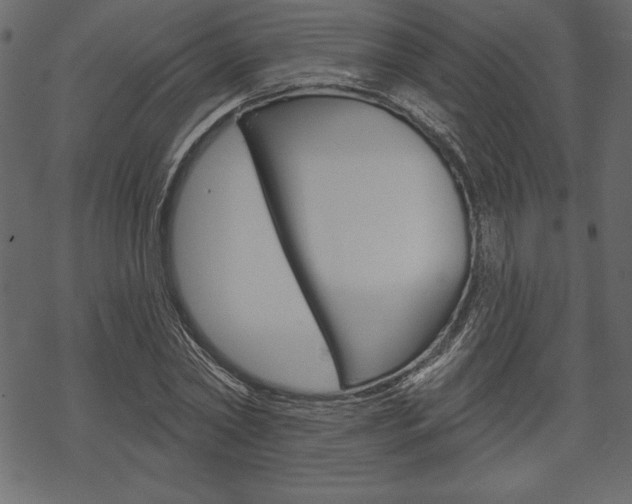 X0000070220782200605261036