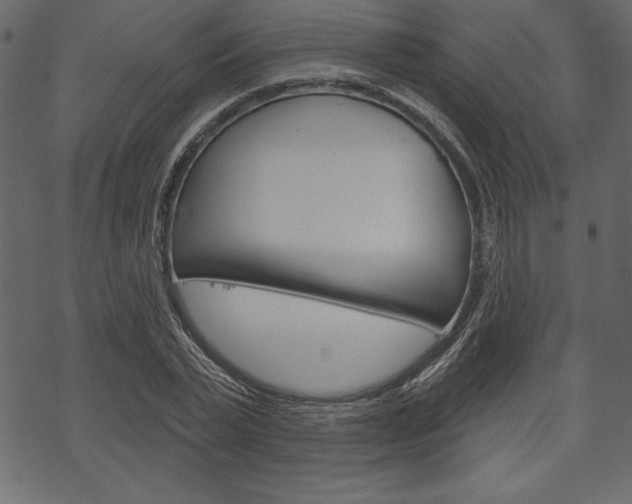 X0000070220783200605261036