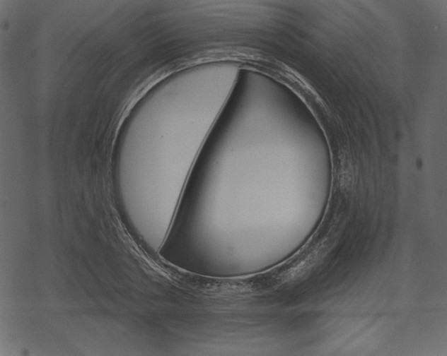 X0000070220786200605261036