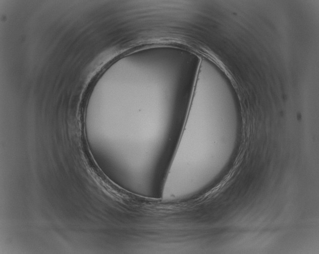 X0000070220787200605261035