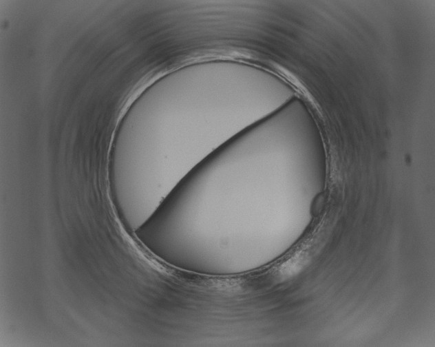 X0000070220802200605261035