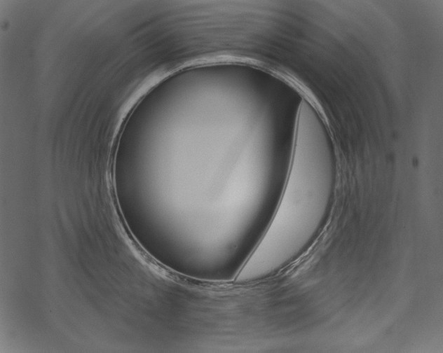 X0000070220813200605261035