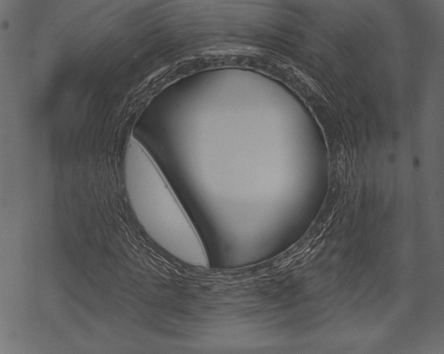 X0000070220821200605261034