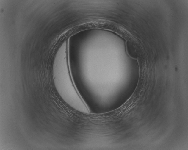 X0000070220822200605261034