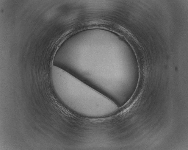 X0000070220825200605261034