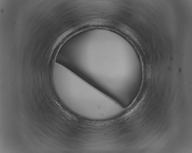X0000070220829200605261034