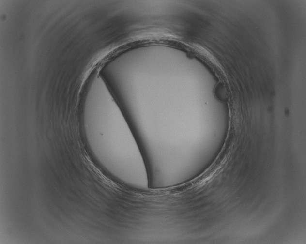 X0000070220831200605261034