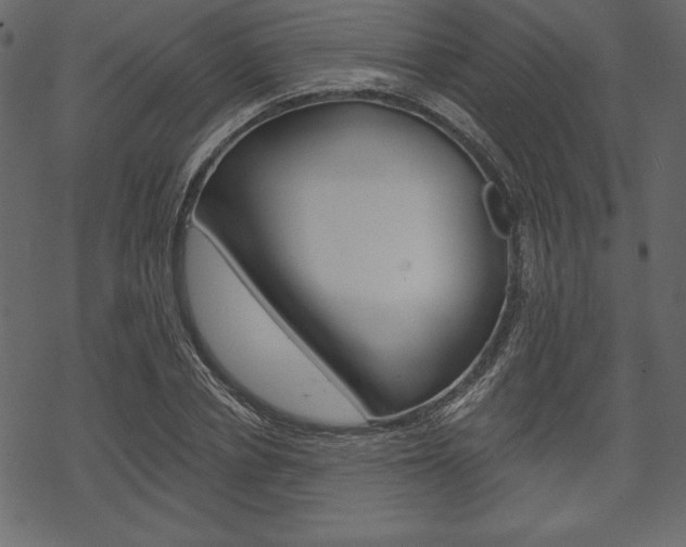 X0000070220834200605261035
