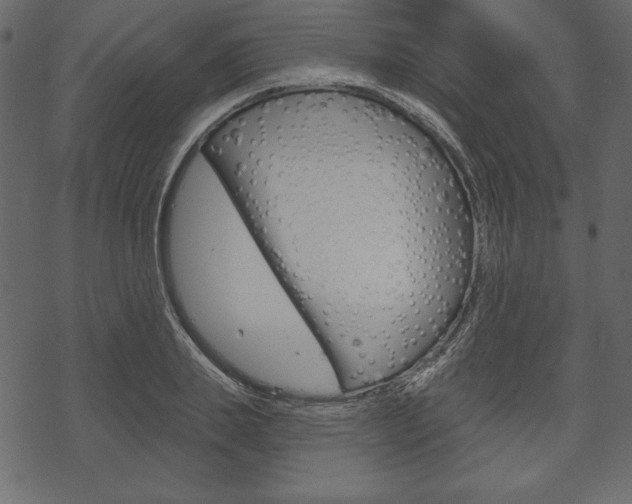 X0000070220839200605261035