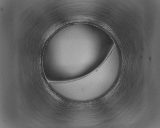 X0000070220842200605261035