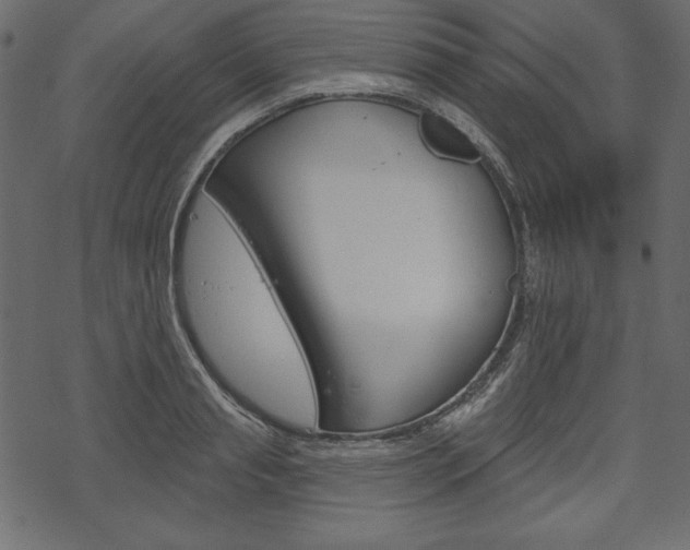X0000070220845200605261035