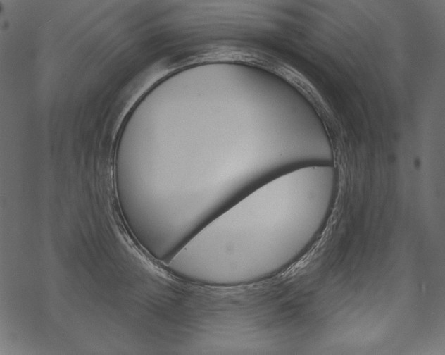 X0000070220852200605261035