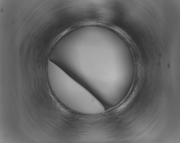 X0000070220857200605261035