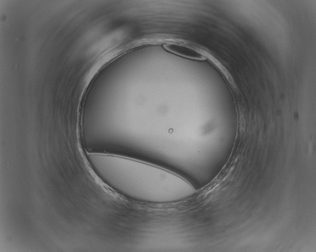 X0000070220861200605261035