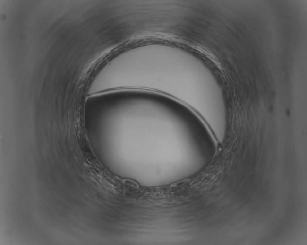 X0000070220872200605261034