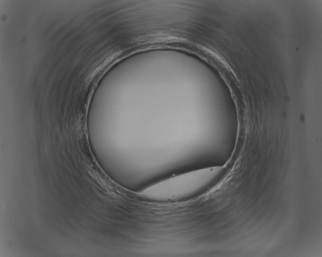 X0000070220873200605261034